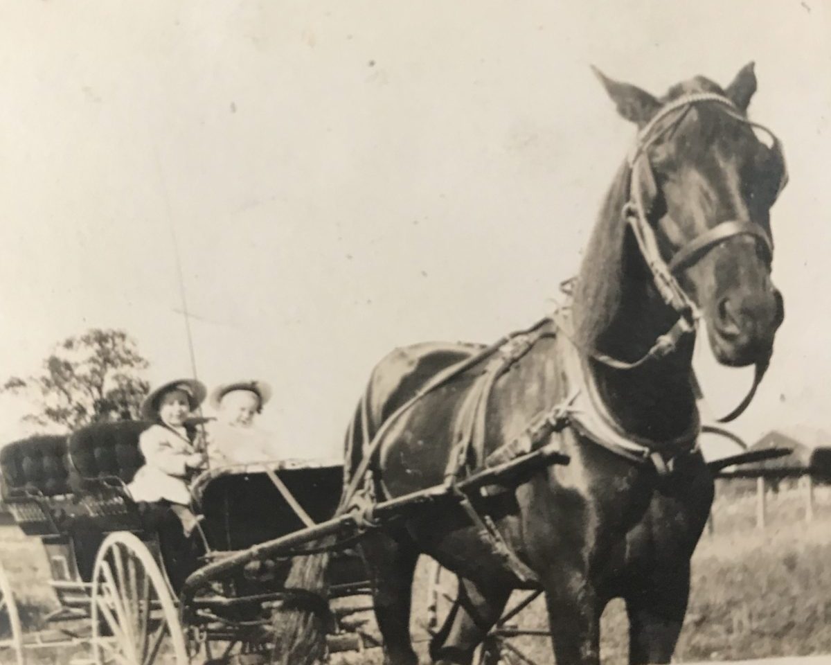 Horse and Buggy Time Big Old Family Hug